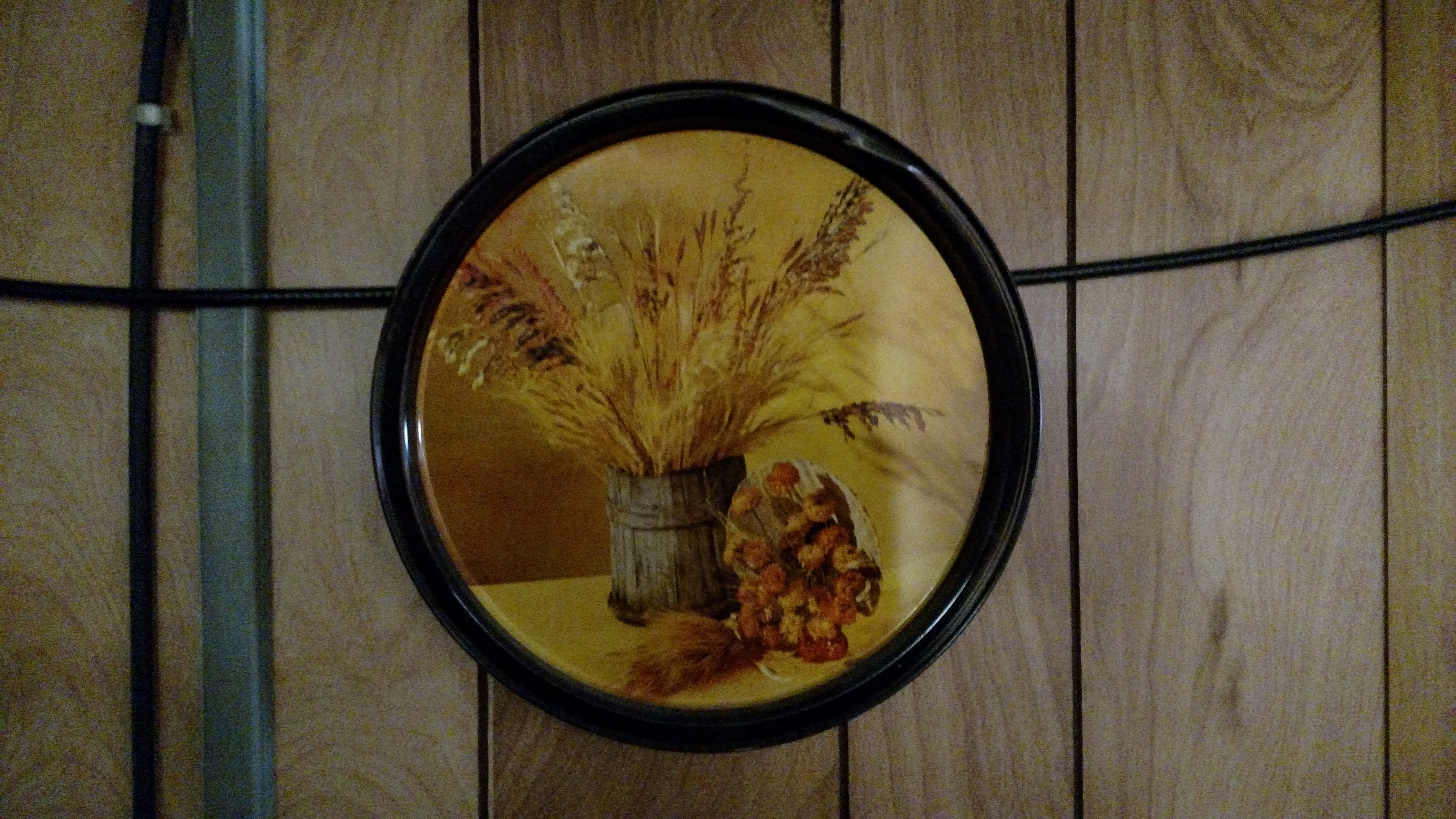 IMG_20161111_145702563